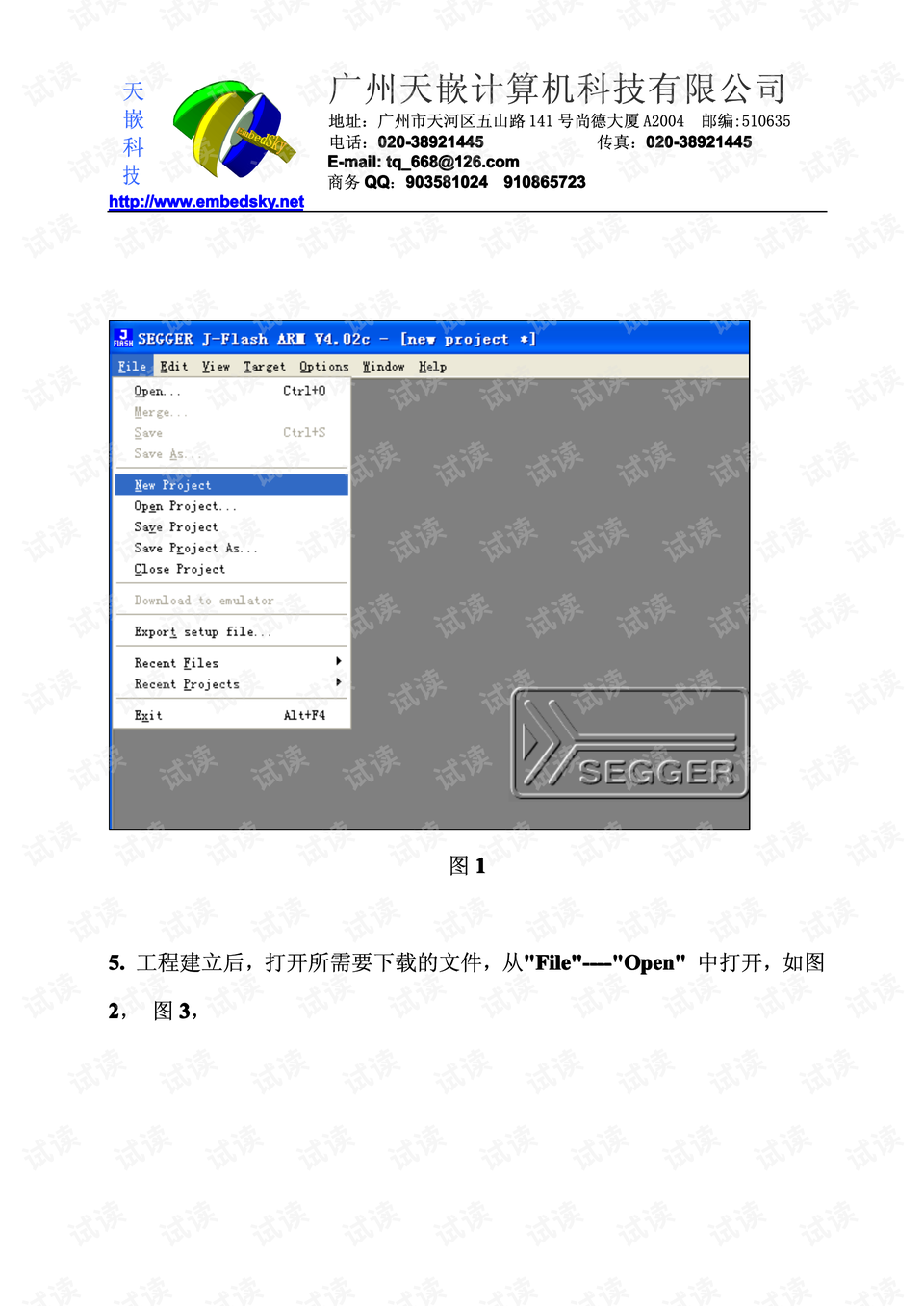 全文本下载，数字时代的阅读新境界探索