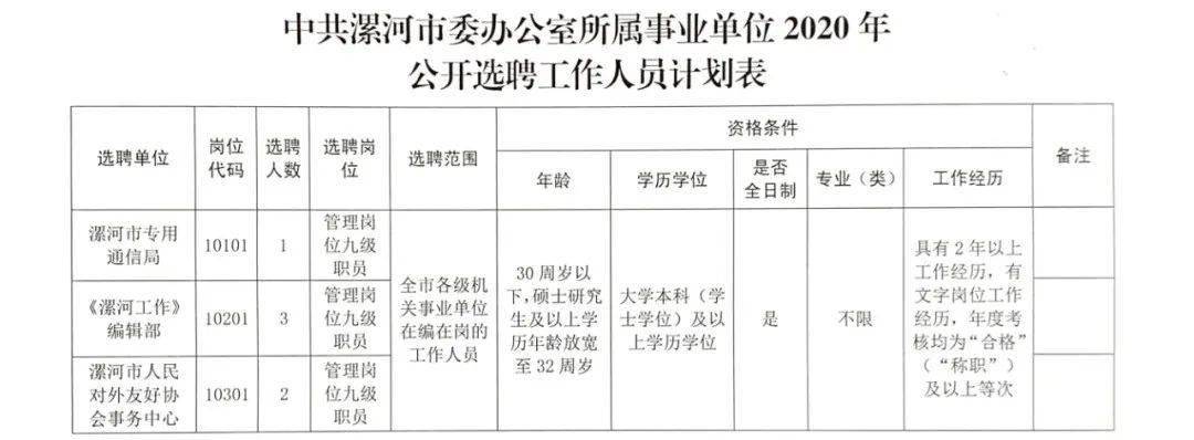 焦作市共青团市委最新招聘启事概览