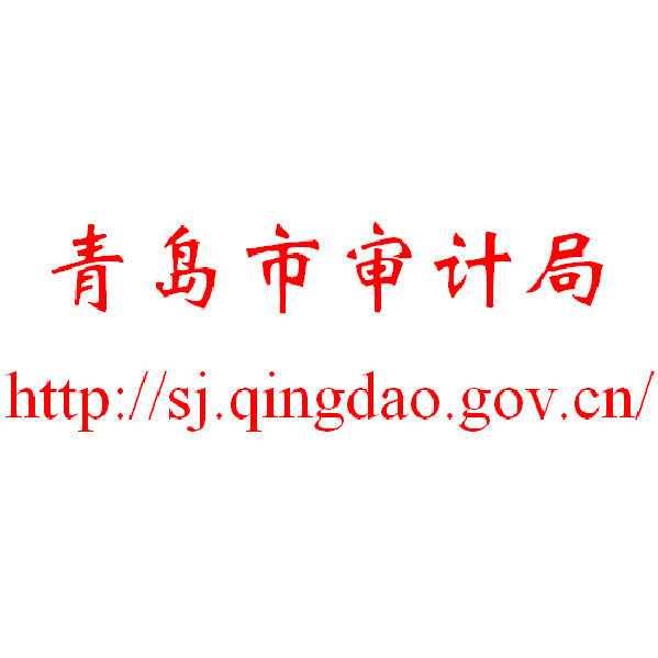 青岛市审计局最新消息动态更新