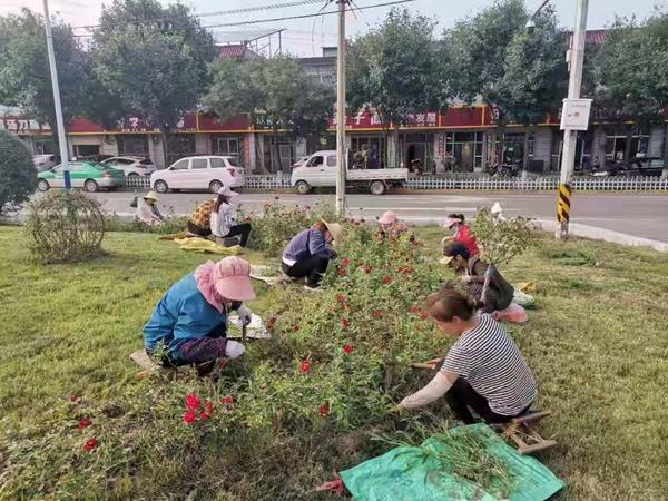 新兴街道最新招聘信息总览